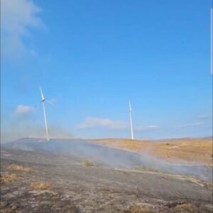 pasalimani adasinda yangin kontrol altina alindi qAOBL2MK