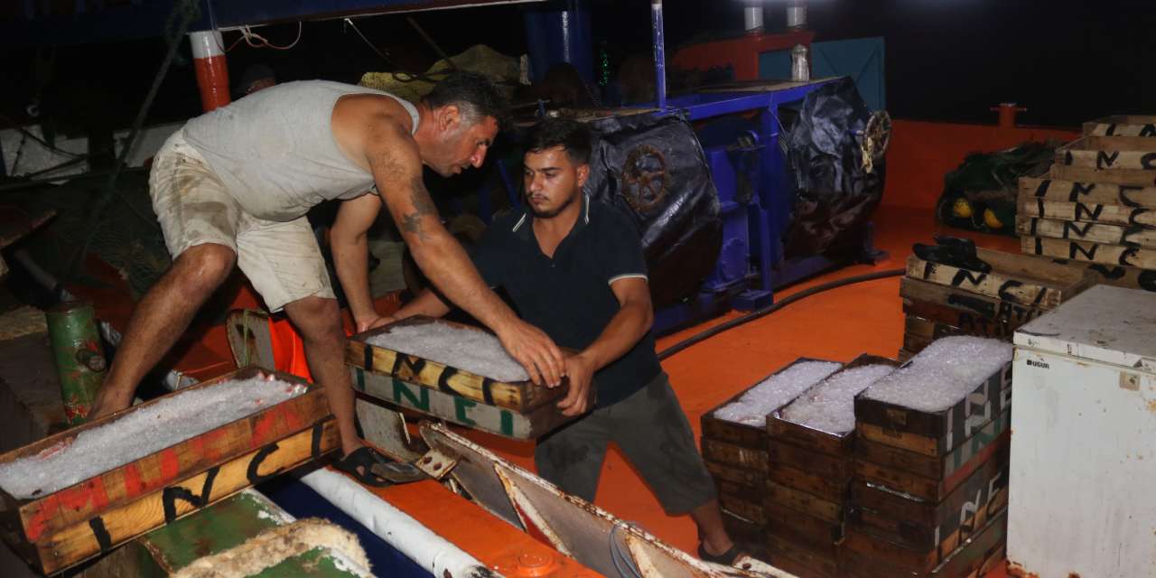 1 kilo parasina kasayla aldilar cesit cesit satildi wqDVsglR