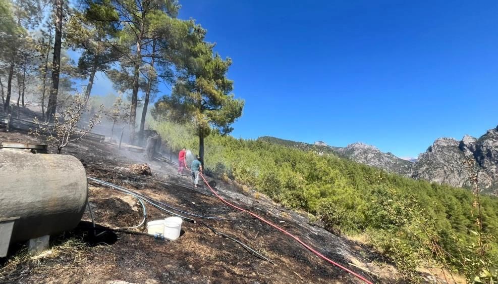 orman yanginlarinda yasamini yitiren gonullulerin yakinlarina maas baglanacak sUZZwdfX