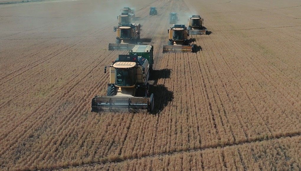 tigem mevsimlik isci alimi basvuru ekrani tarim isletmesi mudurlugu isci alimi kadro dagilimi ve basvuru sartlari Htht8qVT