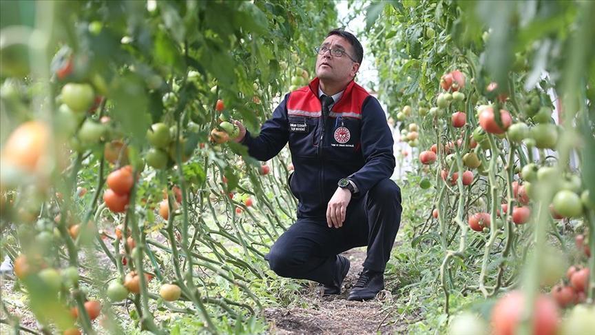 ziraat muhendislerinin olusturdugu sera vatandaslara ilham oldu MkGlu3Qp