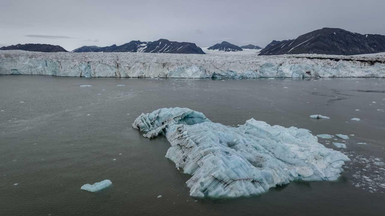 baliklarin yaptigi geometrik desenler kesfedildi fF8tg4bs.webp