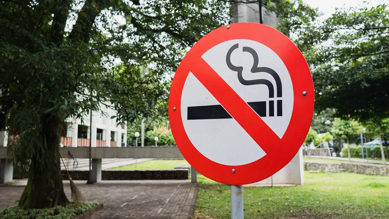 boluda cocuk parklarinda sigara icmek yasaklanacak bu4HxIIg.jpg