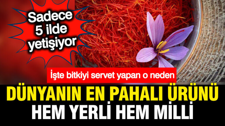 dunyanin-en-pahali-urunu-hem-yerli-ve-milli-hem-turkiyede-yetisiyor-degeri-servete-bedel-CIsDhC2L