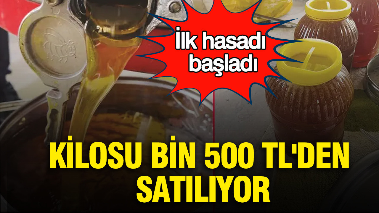 Gazipaşa’da Bal Hasadı Başladı: Kilosu 1.500 TL